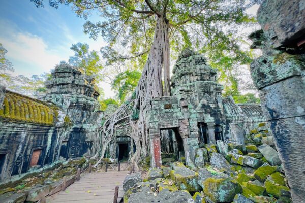 ONE DAY PRIVATE TOUR TO ANGKOR