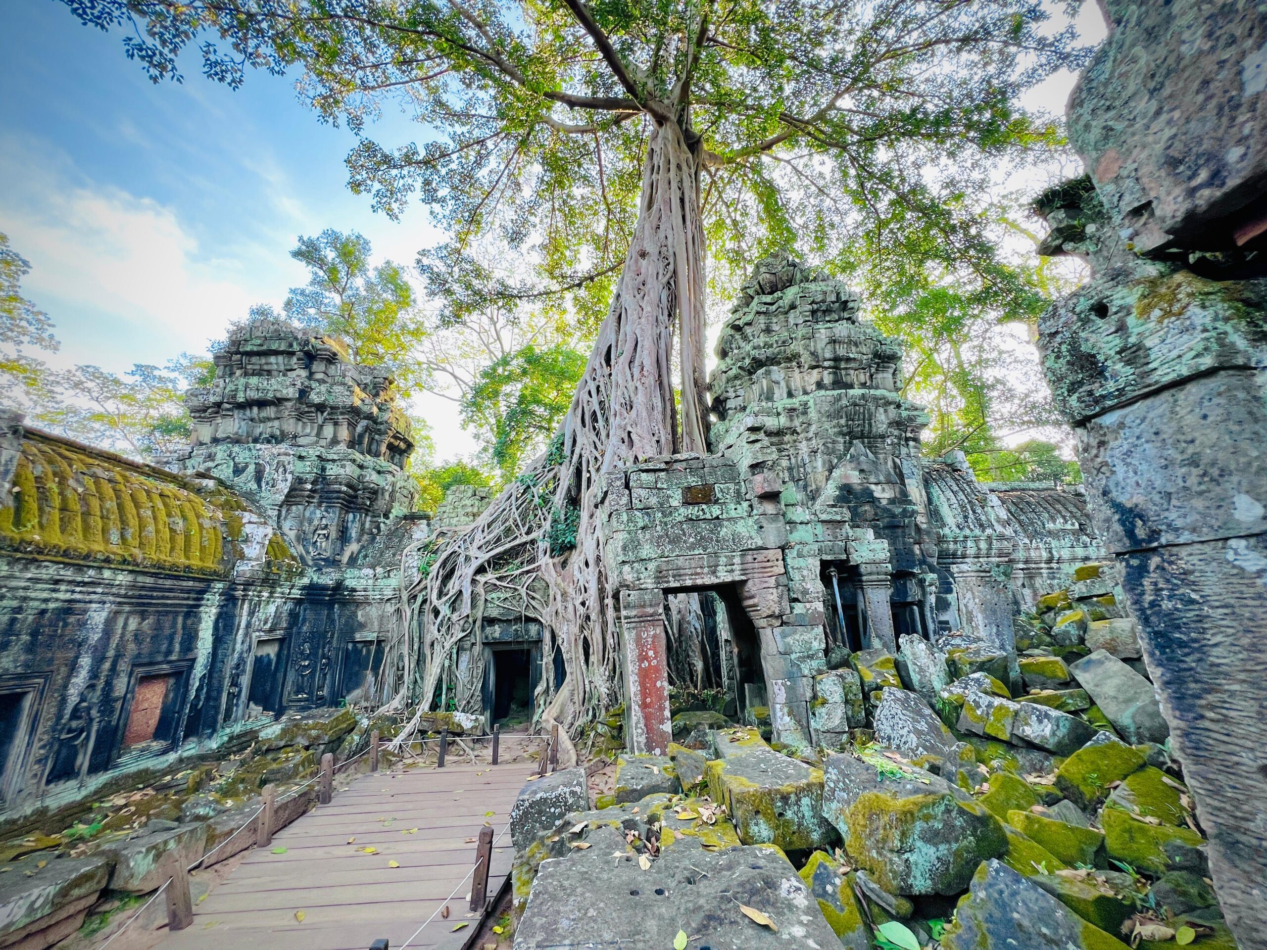 Explore Ta Prohm, the iconic jungle temple where ancient ruins are embraced by giant tree roots.