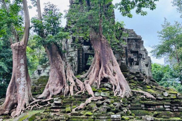 THREE DAYS TRIP PRIVATE TOUR TO EXPLORE ANGKOR & FLOATING VILLAGE